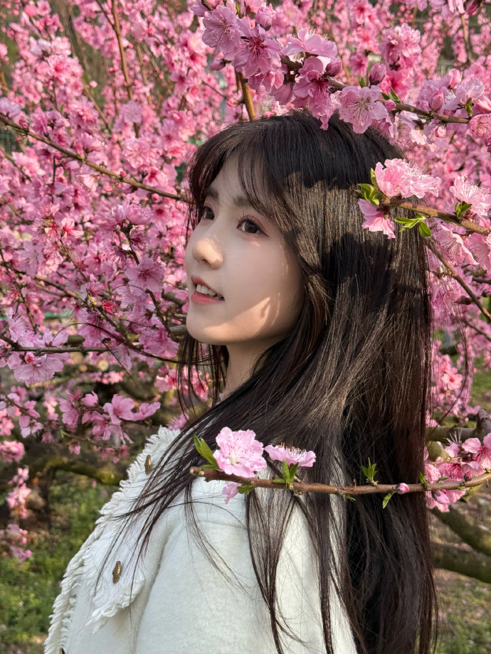 在小程序内容优化中的使用方式