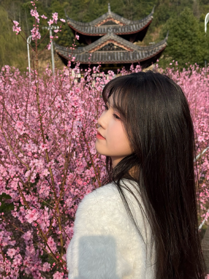 在自动化站群系统中的角色