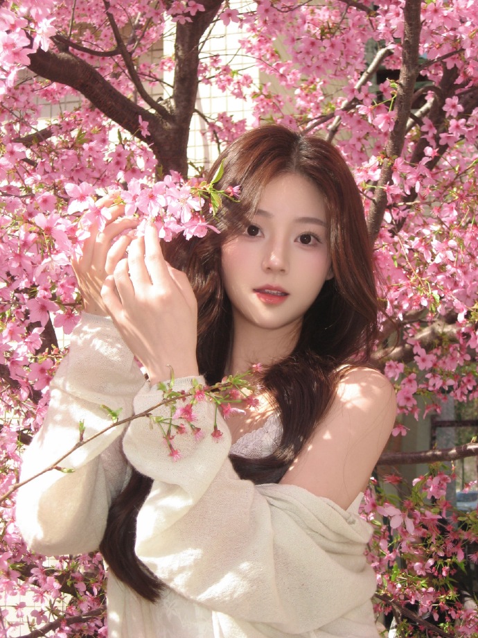 和Schema结构化数据的配合