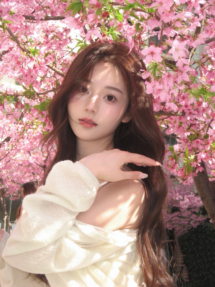 中的IP地址轮换策略