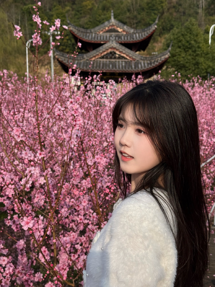 访问日志的分析方法