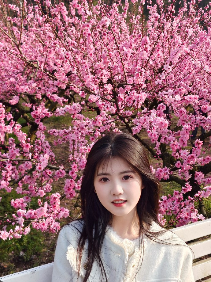 快速构建的五个步骤