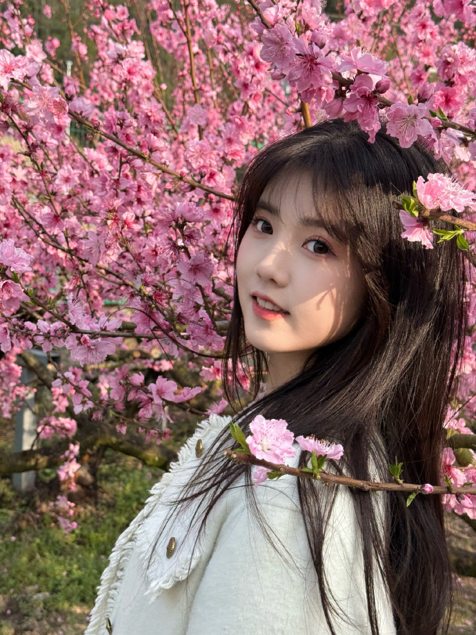 和Schema结构化数据的配合