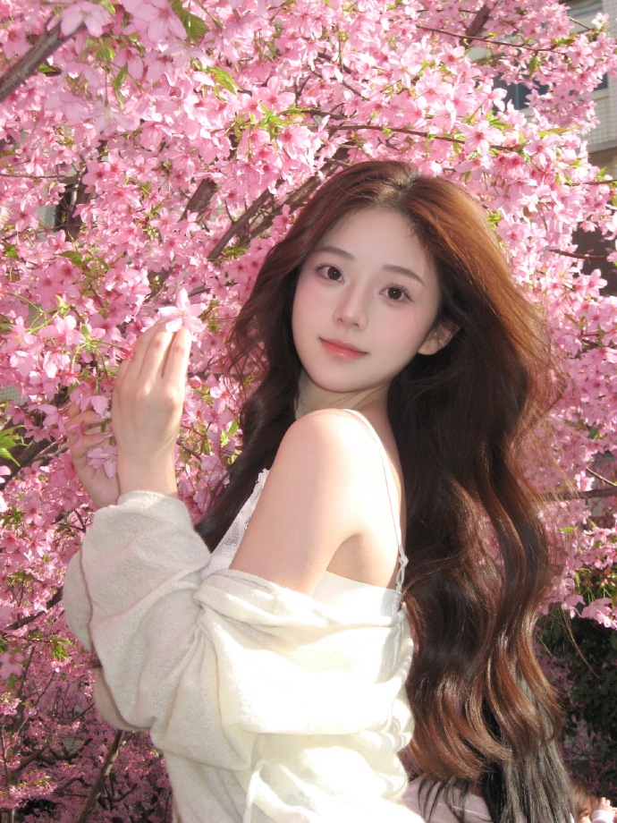 与网站架构优化的配合