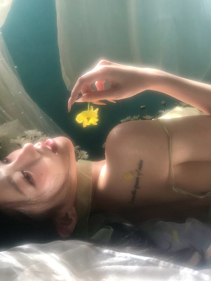 在自动化站群系统中的角色